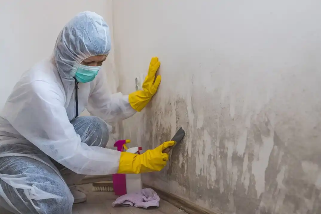 water damage restoration service Near Westside